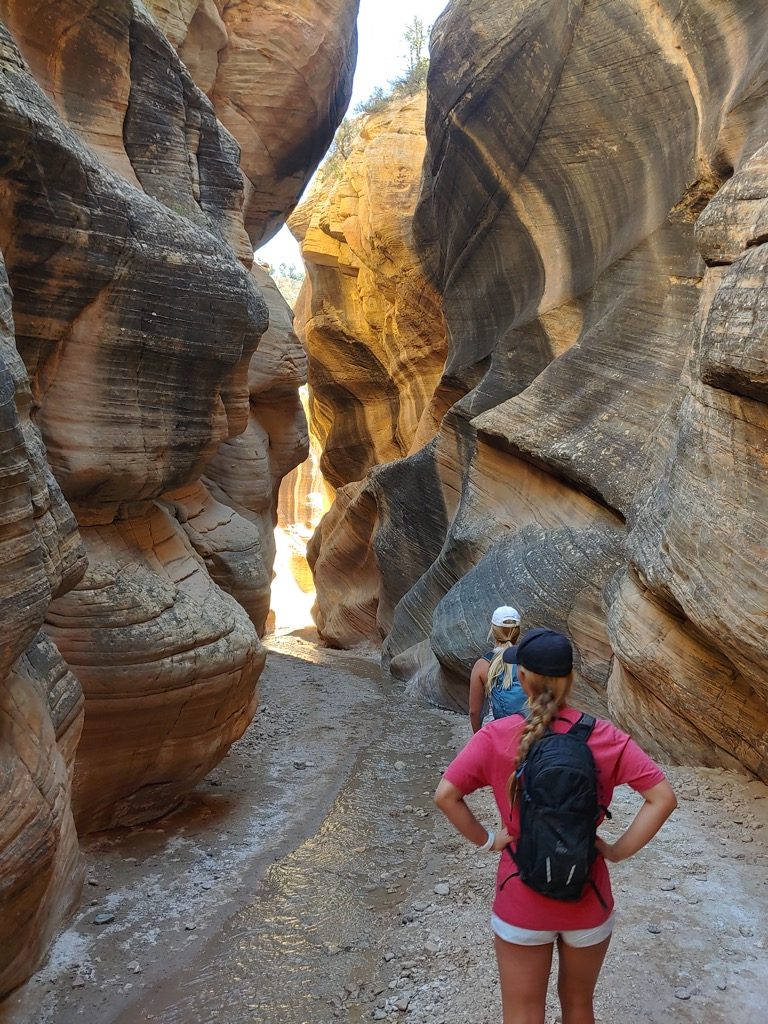 Best hikes in Zion and beyond
