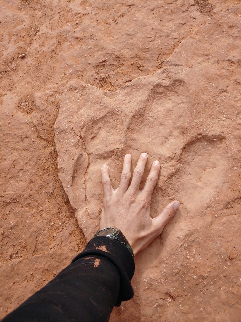 see dinosaur tracks on our better than Zion jeep tours, Lexus off-roading adventures